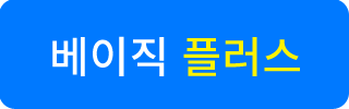 베이직 플러스 버전
