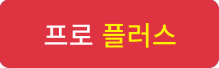 프로 플러스 버전