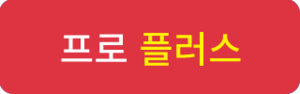 프로 플러스 버전