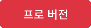 프로 버전