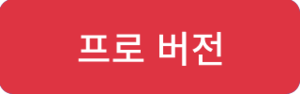 프로 버전